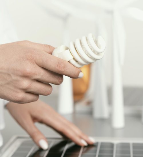 close-up-hand-holding-eco-lightbulb